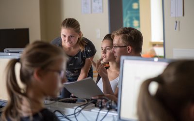 Adaptive Lernsoftware: Ein wirksames  Mittel im Umgang mit Schülerdiversität?
